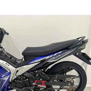 TEM EXCITER 2009 GP EDITION