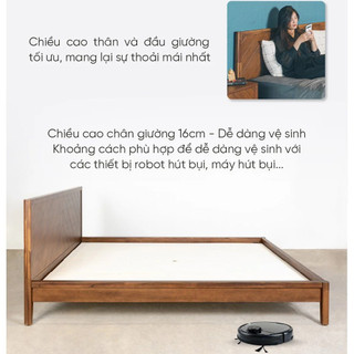 Giường Ngủ Gỗ Tràm MOHO HOBRO 301 Màu Nâu