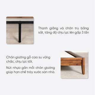 Giường Ngủ Gỗ Tràm MOHO HOBRO 301 Màu Nâu