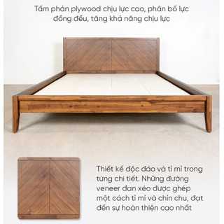 Giường Ngủ Gỗ Tràm MOHO HOBRO 301 Màu Nâu