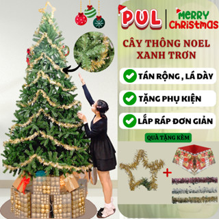    XMAS  Cây thông noel 3M 2M4 2M 1M8 1M5 XANH TRƠN ĐẦU TRÒN Trang Trí Giáng Sinh Công Ty  Khách Sạn 