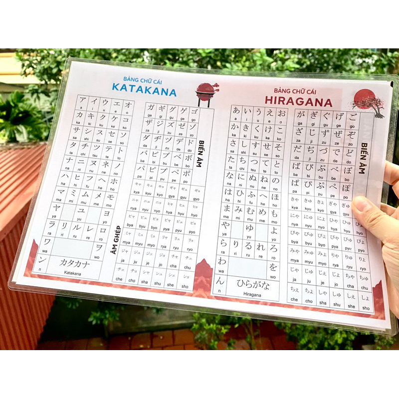 [FLASHCARD TIẾNG NHẬT]-Bảng chữ cái Tiếng Nhật đầy đủ cho người mới bắt đầu-ép plastic