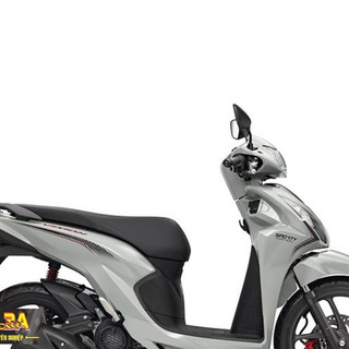 TEM VISION 2021 SPORT DECAL 3A
