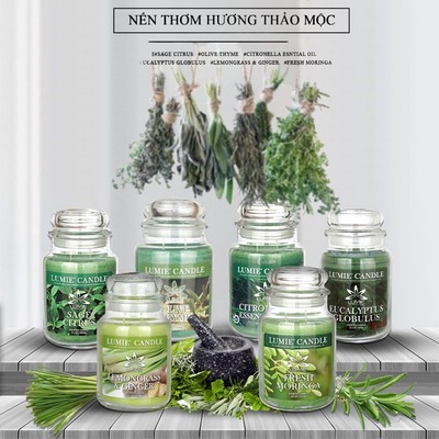 [Best seller] Nến Thơm Thảo Mộc Thanh Tẩy Hàn Quốc LUMIE CANDLE Hủ Lớn 630g