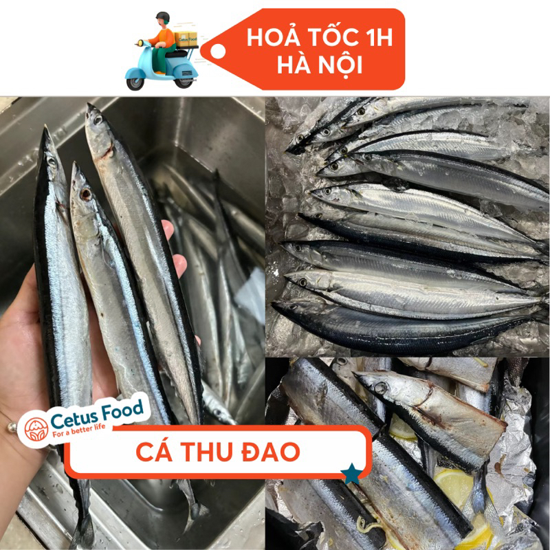 Cá Thu Đa0 Sanma Nhật Bản