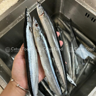 Cá Thu Đa0 Sanma Nhật Bản