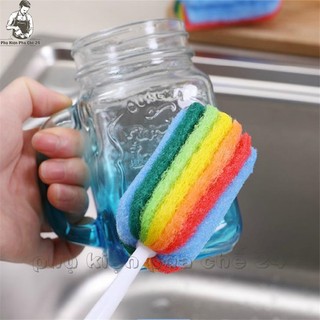 Cây Rửa Cốc, Cọ Rửa Ly
