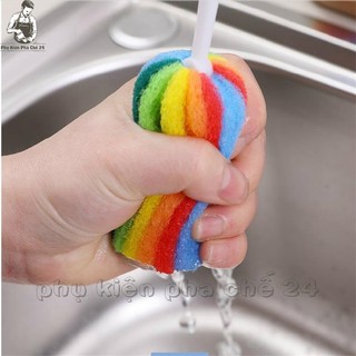 Cây Rửa Cốc, Cọ Rửa Ly