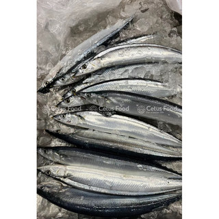 Cá Thu Đa0 Sanma Nhật Bản