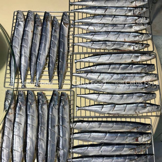 Cá Thu Đa0 Sanma Nhật Bản