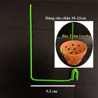 Set 20 que kẹp chậu giữ lan (kie lan)