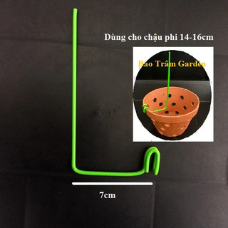 Set 20 que kẹp chậu giữ lan (kie lan)