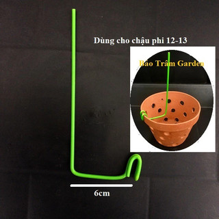 Set 20 que kẹp chậu giữ lan (kie lan)