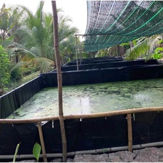 Bể bạt nuôi ốc ếch cá lươn 4x2x1 HDPE