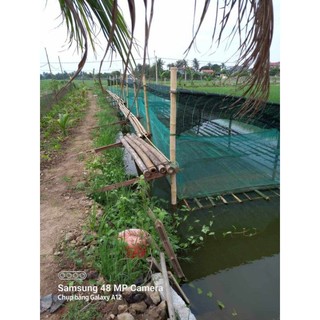 Tráng lưới nuôi ếch , ốc , cá - lưới thái