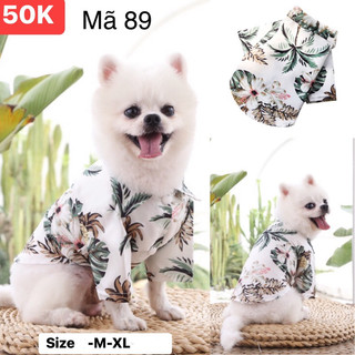 Áo sơ mi dành cho chó/mèo