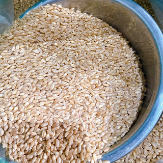 1Kg Hạt Lúa Mì Đã Tách Vỏ dùng làm sữa, ngũ cốc, bánh mì, nấu cháo