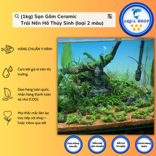 (1kg) Sạn Gốm Ceramic Trải Nền Hồ Thủy Sinh (loại 2 màu)
