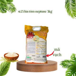 Gạo Neptune ST25 Plus Lúa Tôm Túi 5Kg dẻo mềm