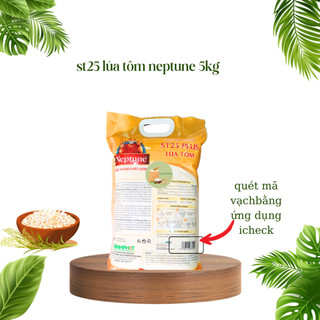 Gạo Neptune ST25 Plus Lúa Tôm Túi 5Kg dẻo mềm