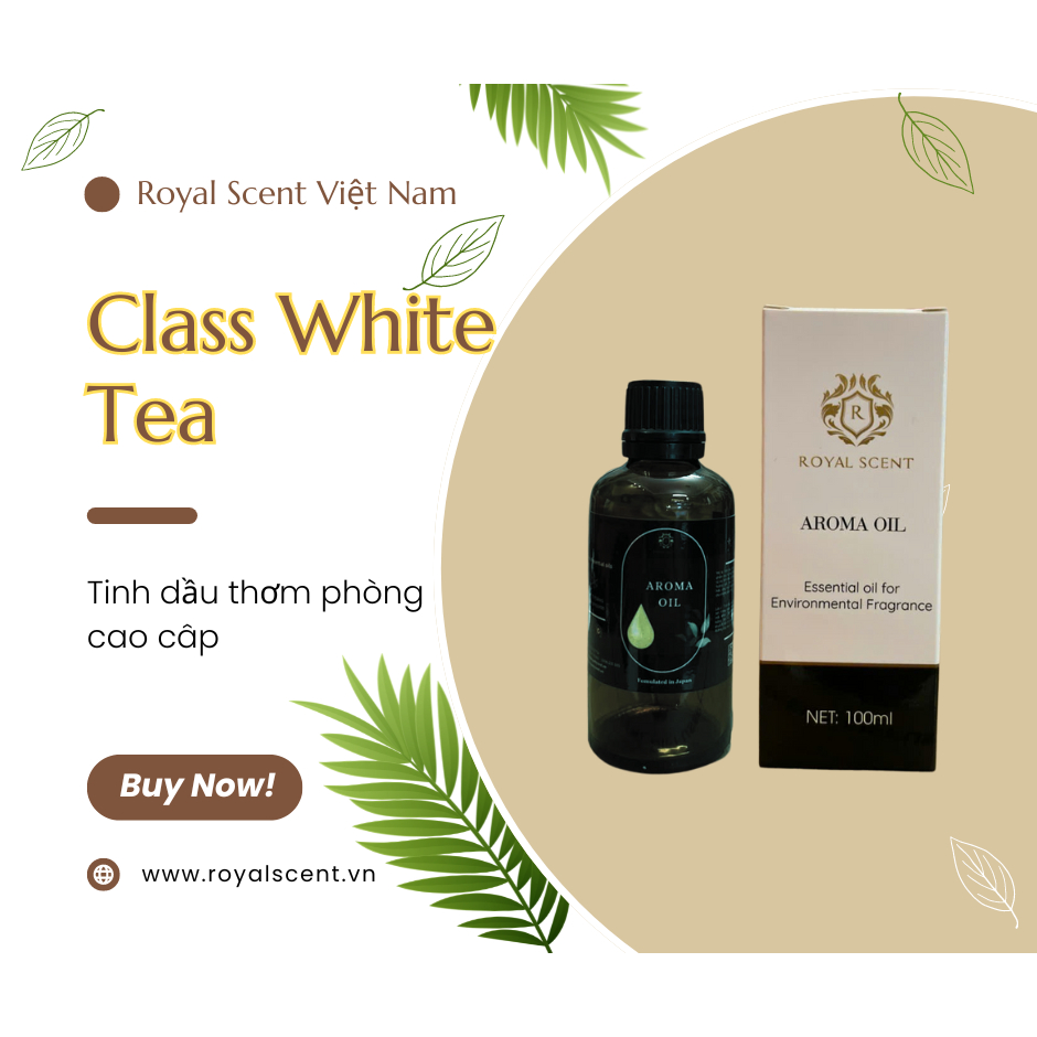 Tinh dầu trà trắng White tea nước hoa
