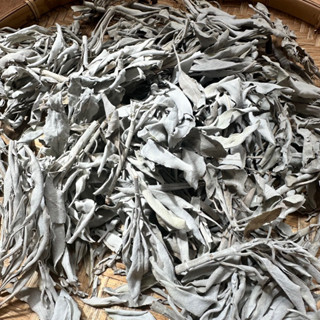  Vụn lá Xô thơm Lá Xô thơm Thanh tẩy 10g 20g 50g 