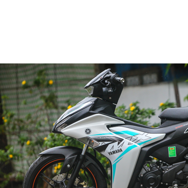 TEM EXCITER 155 MX KING TEM CHỈ