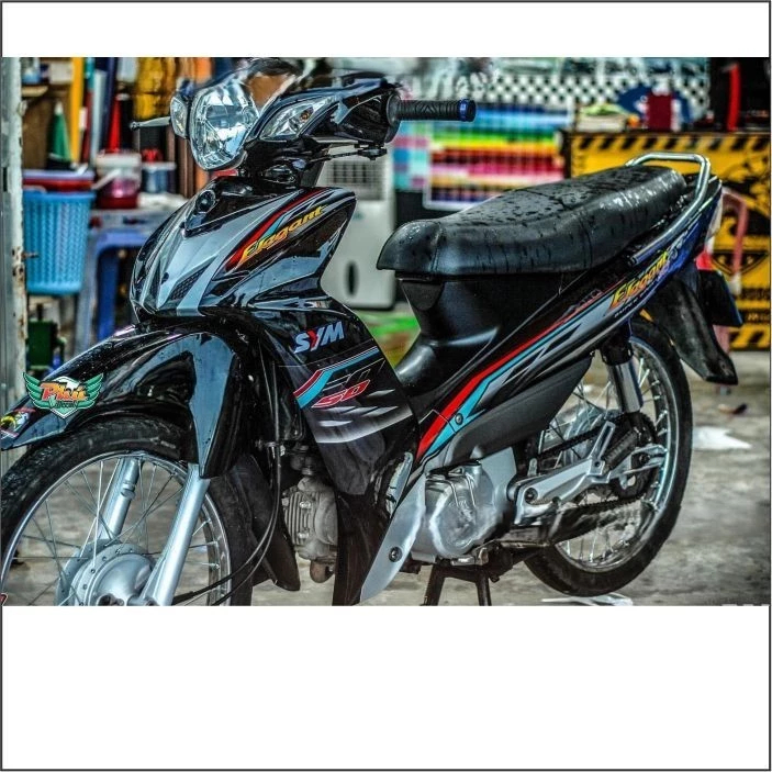 Tem rời Elegant 2016 đen xám xanh (B) -1