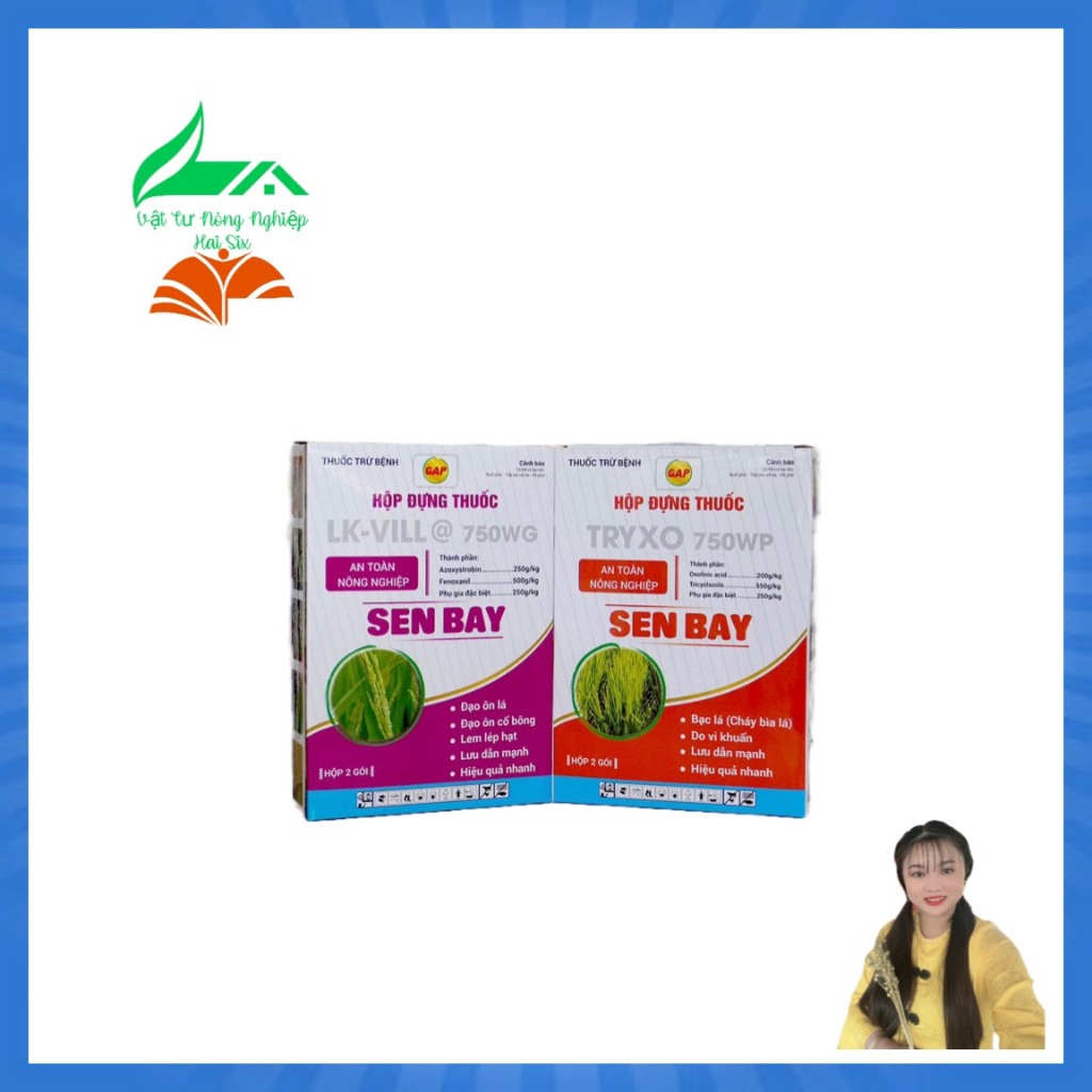 SEN BAY của công ty GAP hỗ trợ cho lúa xanh lá ,sáng hạt,hạn chế lem lép ,1 cặp dùng cho 1 hecta