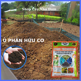 Chế Phẩm TRICHODERMA Chuyên Ủ Các Loại Phân Hữu Cơ Cho Mọi Cây Trồng (Túi 1KG)