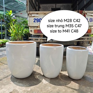 (SHIP HỎA TỐC HN )Chậu sứ bom trồng cây để sàn 3 cỡ to trung nhỏ LƯU Ý KIỂM TRA TRƯỚC KHI NHẬN