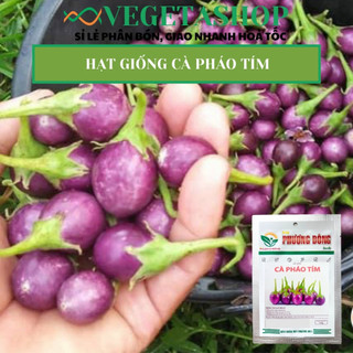 HẠT GIỐNG CÀ PHÁO TÍM 0.5gr- VEGETASHOP