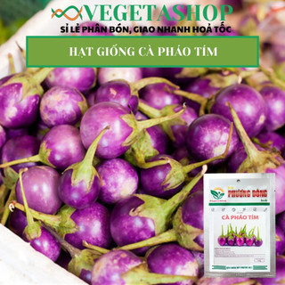 HẠT GIỐNG CÀ PHÁO TÍM 0.5gr- VEGETASHOP