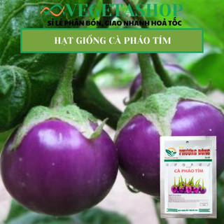 HẠT GIỐNG CÀ PHÁO TÍM 0.5gr- VEGETASHOP