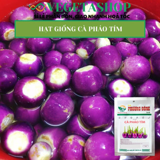 HẠT GIỐNG CÀ PHÁO TÍM 0.5gr- VEGETASHOP