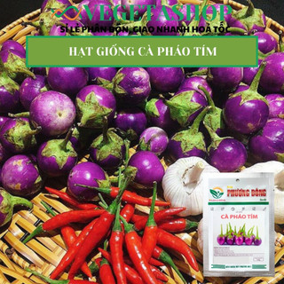HẠT GIỐNG CÀ PHÁO TÍM 0.5gr- VEGETASHOP