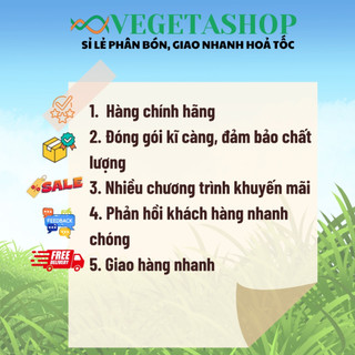 HẠT GIỐNG CÀ PHÁO TÍM 0.5gr- VEGETASHOP