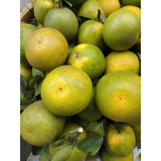 CAM XOÀN ĐỒNG THÁP 💥💥 [Combo 3Kg]