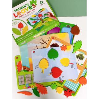 [Hàng nhập khẩu Mỹ] Sensory Leaves Math Activity Set - Learning Resources