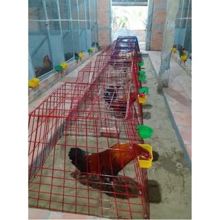 BỘI THÁP ,BỘI VUÔNG,BỘI ÚP GÀ , BỘI CHỐNG SÔI KẼM TRẮNG VÀ SƠN ĐỎ