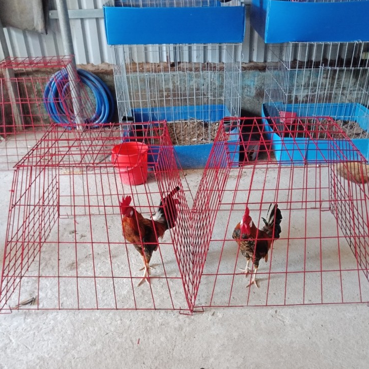 BỘI THÁP ,BỘI VUÔNG,BỘI ÚP GÀ , BỘI CHỐNG SÔI KẼM TRẮNG VÀ SƠN ĐỎ