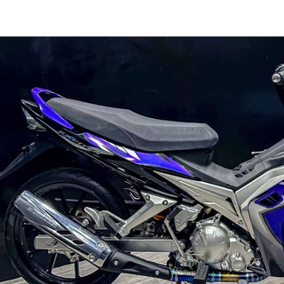 TEM EXCITER 2009 RC EDITION