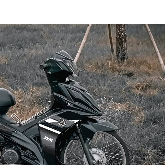 TEM GALAXY 50 Y11ZR VÂN GỖ -  XE ĐEN