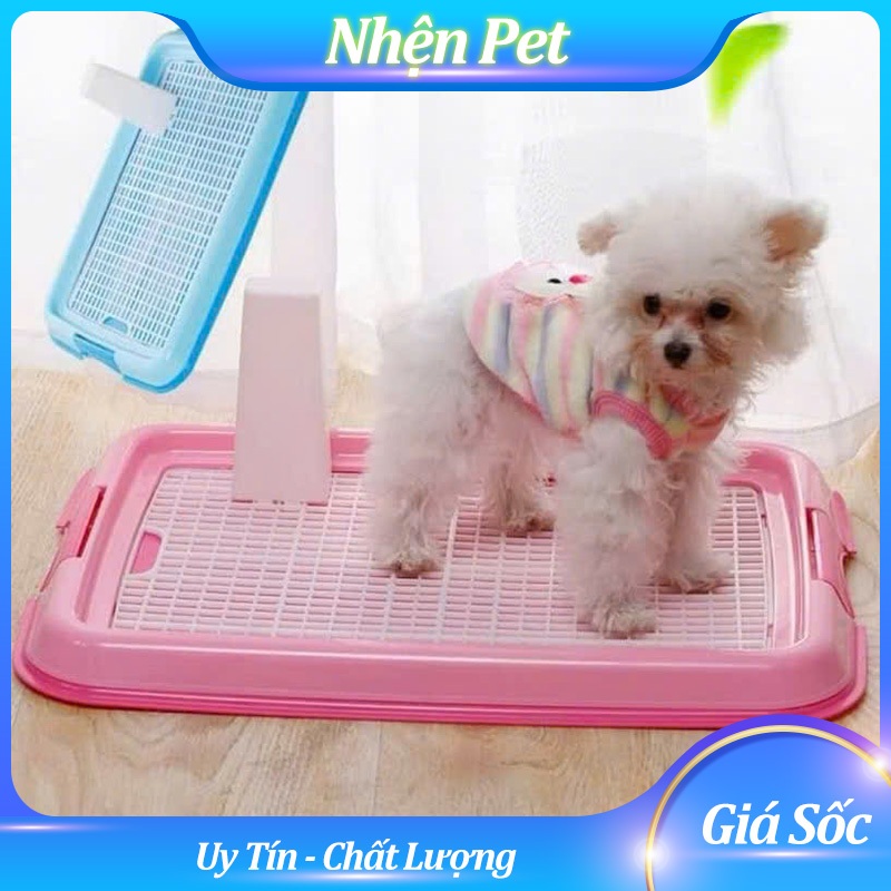Khay vệ sinh cho chó