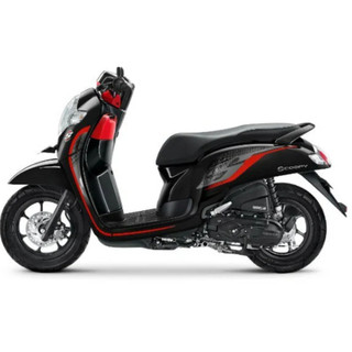 TEM SCOOPY SPORTY BLACK DECAL 3A