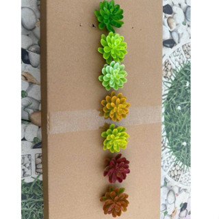 1 đầu bông Sen đá V65 và cành sen đá C03, hoa giả trang trí tháp bánh, nước, oản tài lộc | Phụ kiện trang trí