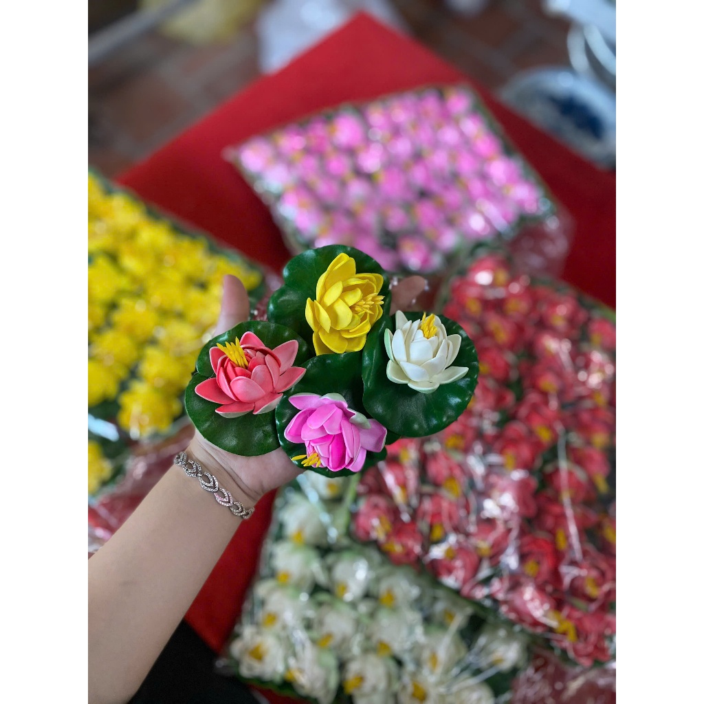 Hoa sen thả bát tụ thủy, thả hồ, thả bể cá