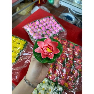 Hoa sen thả bát tụ thủy, thả hồ, thả bể cá