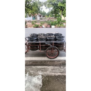 Cáp quang 1fo cuộn 1000m