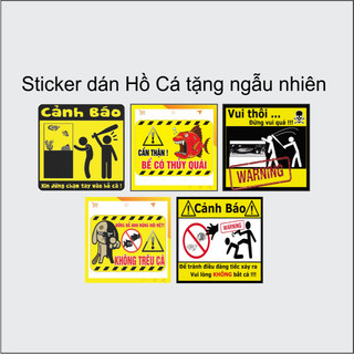 Tranh 3d Decal có sẵn keo, Tranh Dán Bể Cá Thủy Sinh, Bể Cá Rồng (Tranh Dán Lưng)_SH 100